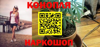 скорость Кинель
