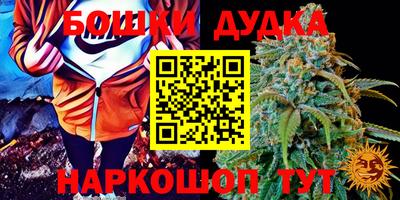 дживик Кимры