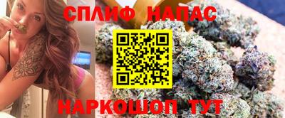 ГАЛЛЮЦИНОГЕННЫЕ ГРИБЫ Кингисепп