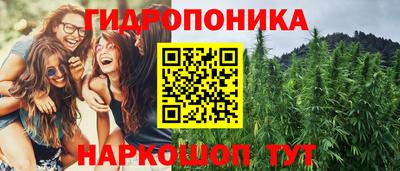 ГАЛЛЮЦИНОГЕННЫЕ ГРИБЫ Кингисепп