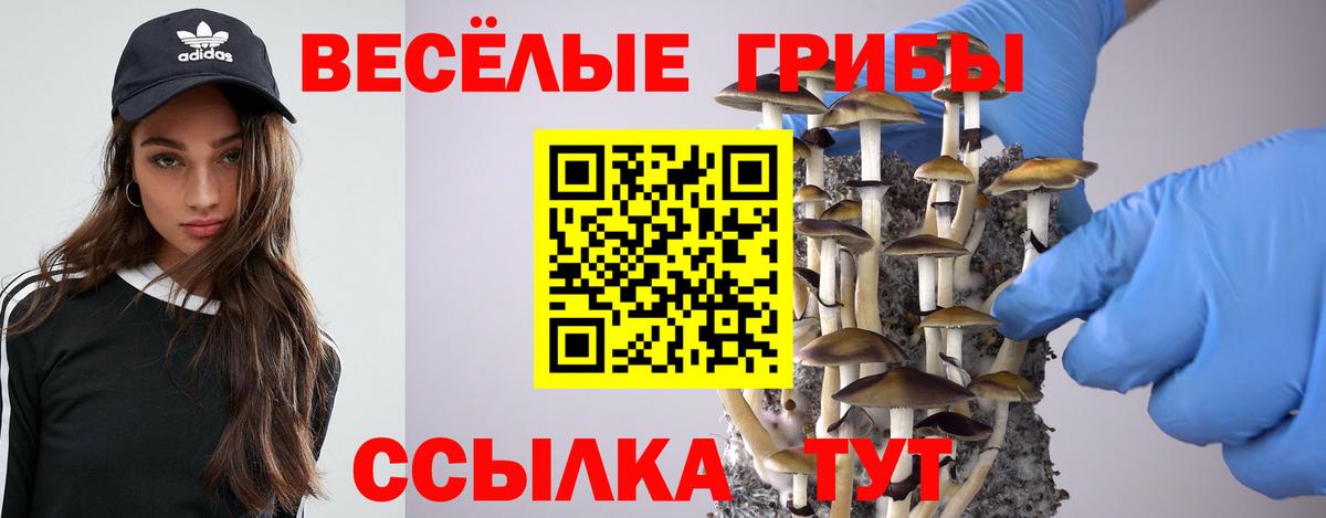 Псилоцибиновые грибы мухоморы Коломна